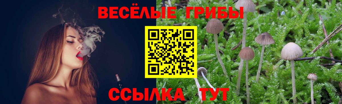 Галлюциногенные грибы Cubensis  Вход с VPN  Сланцы 